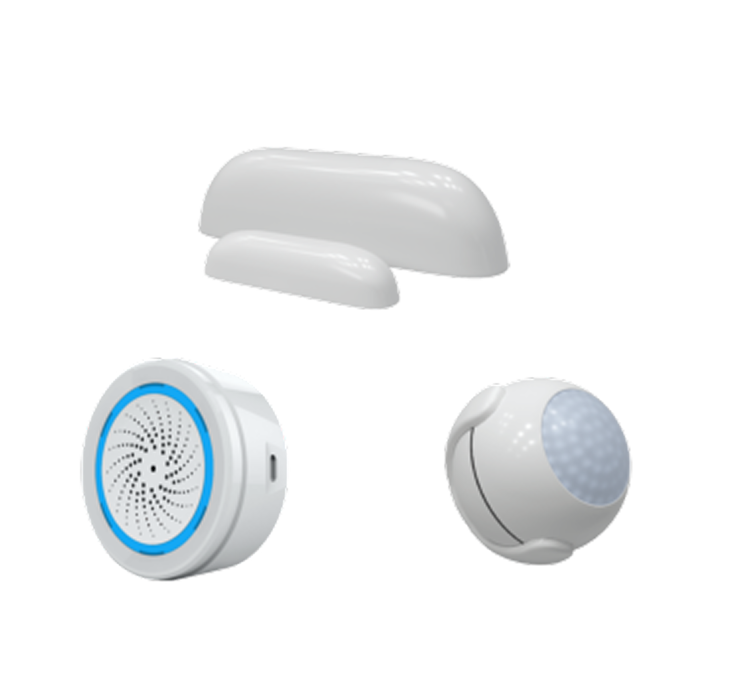 Motion Detection Alerts